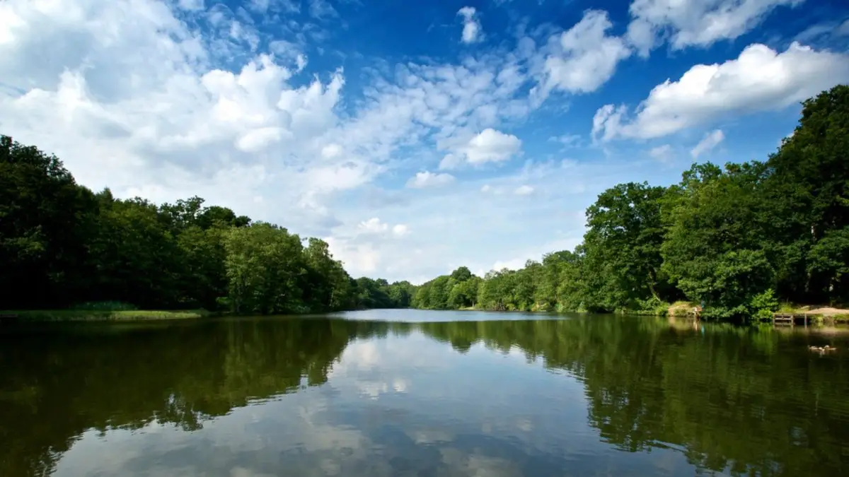Forest of Dean and Wye Valley